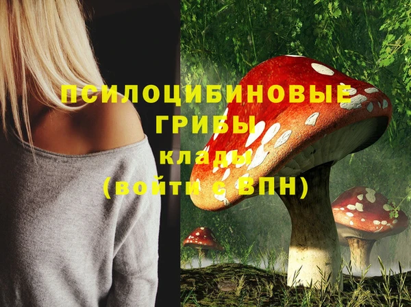 не бодяженный Нязепетровск