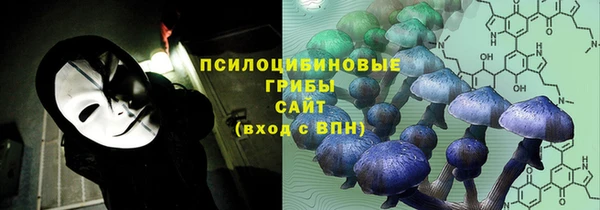 первитин Новозыбков