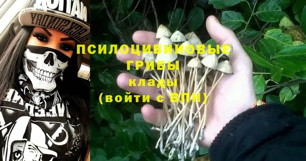 экстази Новодвинск