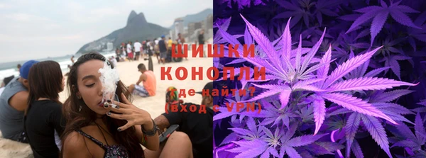 первитин Новозыбков