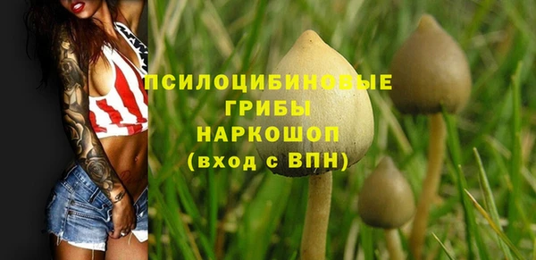 экстази Новодвинск