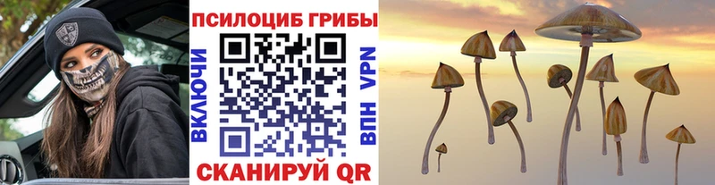 Псилоцибиновые грибы MAGIC MUSHROOMS  дарнет шоп  Семикаракорск 